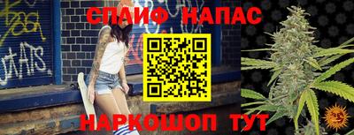 мдпв Краснознаменск